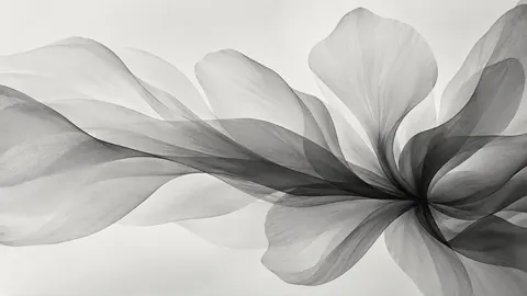 Overlapping translucent petal shapes – monochrome minimalist abstraction Frame TV art