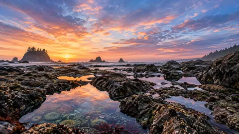 Tide pools scattered across rocky shore – fine-art photography Frame TV art