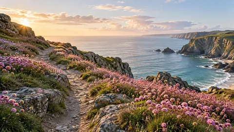 Clifftop path through pink thrift flowers – fine-art photography Frame TV art
