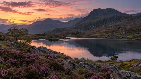 Highland tarn beneath heather slopes – fine-art natural photography Frame TV art