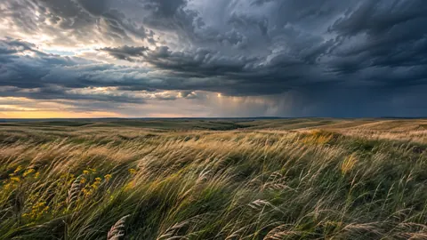 Prairie grass rippling beneath storm clouds – fine-art natural photography Frame TV art